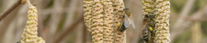 copy-cropped-PICT9627-001.jpg