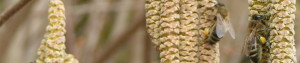 cropped-PICT9627-0011.jpg