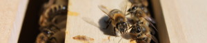 cropped-IMG_6218.jpg