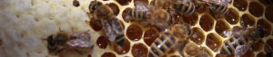 cropped-IMG_6228.jpg