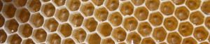 cropped-IMG_6244.jpg