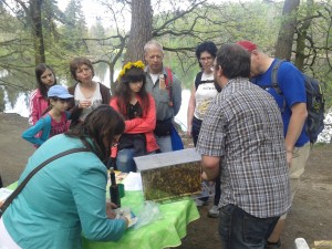 Včelaři-na Ringhofově cestě (1)
