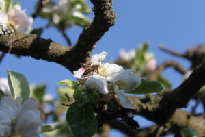 IMG_2849.jpg